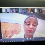 NAHSE Detroit Early Careerist - Bridging the Gap July 2020